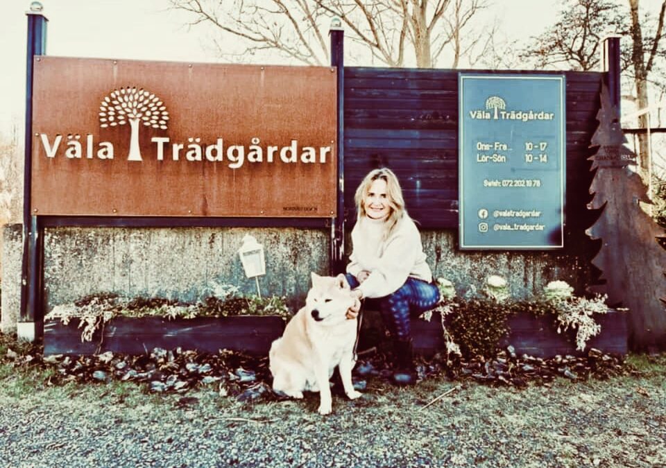 Möte med Suzana på Väla trädgårdar